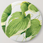 Ficus Plant 2 Ronde Button 6,0 Cm (Voorkant)