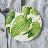 Ficus Plant 2 Ronde Button 6,0 Cm (In situ)