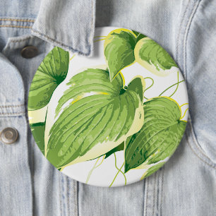 Ficus Plant 2 Ronde Button 6,0 Cm