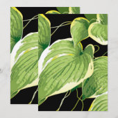 Ficus Plant 3 Bedankkaart (Voorkant / Achterkant)