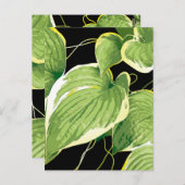 Ficus Plant 3 Briefkaart (Voorkant / Achterkant)