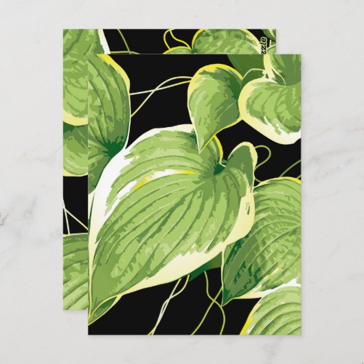 Ficus Plant 3 Briefkaart (Voorkant / Achterkant)