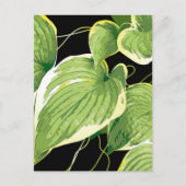 Ficus Plant 3 Feestdagenkaart (Voorkant)