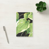 Ficus Plant 3 Post-it® Notes (Kantoor)
