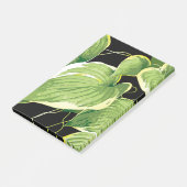 Ficus Plant 3 Post-it® Notes (Schuin)