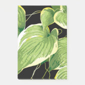 Ficus Plant 3 Post-it® Notes (Voorkant)