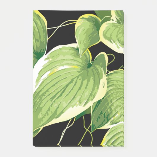 Ficus Plant 3 Post-it® Notes (Voorkant)