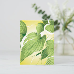 Ficus Plant 4 Briefkaart