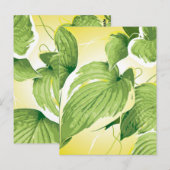 Ficus Plant 4 Briefkaart (Voorkant / Achterkant)
