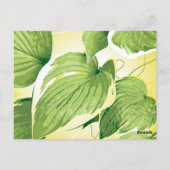 Ficus Plant 4 Briefkaart (Achterkant)