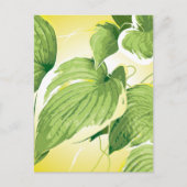 Ficus Plant 4 Briefkaart (Voorkant)