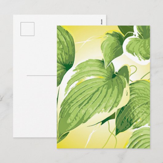 Ficus Plant 4 Feestdagenkaart (Voorkant / Achterkant)