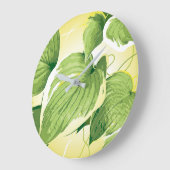 Ficus Plant 4 Grote Klok (Hoek)