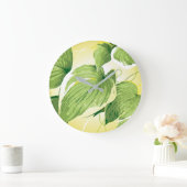 Ficus Plant 4 Grote Klok (Huis)