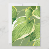 Ficus Plant 5 Bedankkaart (Achterkant)