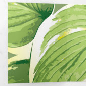 Ficus Plant 5 Drieluik Wenskaart (Binnenzijde eerst)