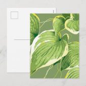 Ficus Plant 5 Feestdagenkaart (Voorkant / Achterkant)