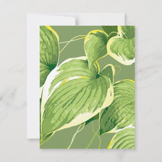 Ficus Plant 5 Notitiekaartje (Achterkant)