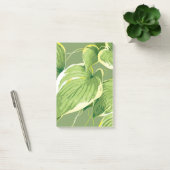 Ficus Plant 5 Post-it® Notes (Kantoor)