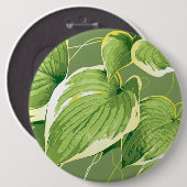 Ficus Plant 5 Ronde Button 6,0 Cm (Voorkant /achterkant)