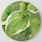 Ficus Plant 5 Ronde Button 6,0 Cm (Voorkant)