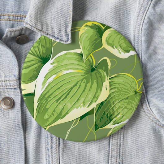 Ficus Plant 5 Ronde Button 6,0 Cm (In situ)
