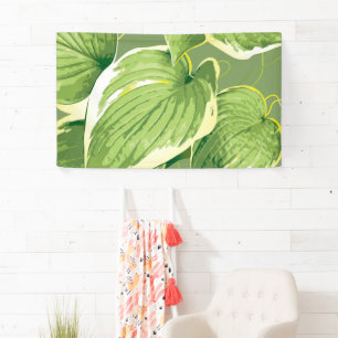 Ficus Plant 5 Spandoek