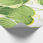 Ficus Plant Cadeaupapier (Hoek)
