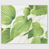 Ficus Plant Cadeaupapier (Vlak)