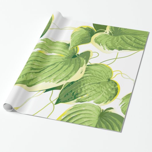 Ficus Plant Cadeaupapier (Uitgerold)