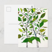 Ficus Plant Color Pencil Tree Drawing  Briefkaart (Voorkant / Achterkant)