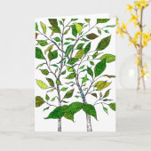 Ficus Plant Kleurpotlood Boom Tekening Kaart (Gele Bloem)