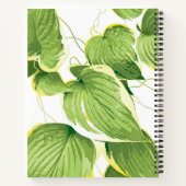 Ficus Plant Notitieboek (Achterkant)