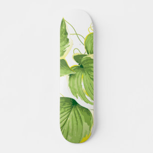 Ficus Plant Persoonlijk Skateboard