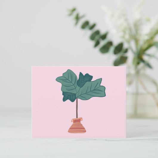Fiddle Fig Tree Green Potlood Plant Roze Briefkaart (Staand voorkant)