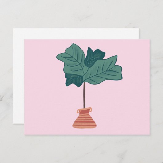 Fiddle Fig Tree Green Potlood Plant Roze Briefkaart (Voorkant / Achterkant)