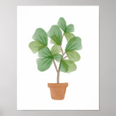 Fiddle Leaf Fig Waterverf Poster (Voorkant)