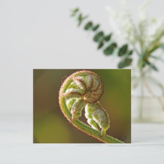 Fiddlehead Fern Briefkaart (Staand voorkant)