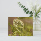 Fiddlehead Fern Heart Foto Briefkaart (Staand voorkant)