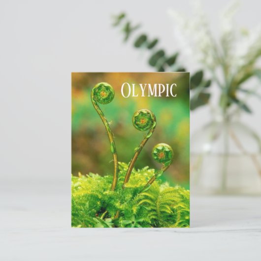 Fiddlehead Fern, Olympisch Nationaal Park Briefkaart (Staand voorkant)