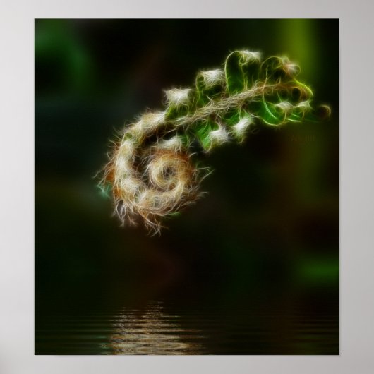 Fiddlehead Fern print (Voorkant)