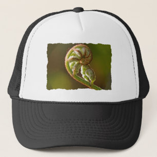 Fiddlehead Fern Trucker Pet