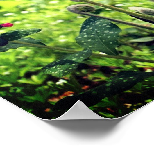 Fiddlehead Ferns and Spring Flowers Poster (Hoek)