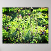 Fiddlehead Ferns and Spring Flowers Poster (Voorkant)