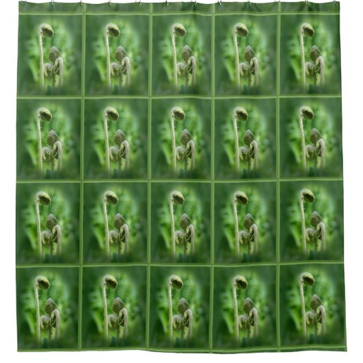 Fiddlehead Ferns Natuur Pattern Douchegordijn (Voorkant)