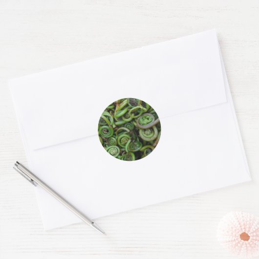 Fiddlehead Ferns Ronde Sticker (Envelop)