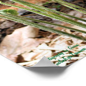 Fiddlehead Ferns Spring Natuur #4 Poster (Hoek)