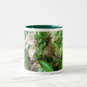 fiddlehead-mok tweekleurige koffiemok (Center)