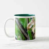 fiddlehead-mok tweekleurige koffiemok (Links)