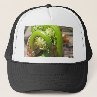 Fiddlehead Trucker Pet